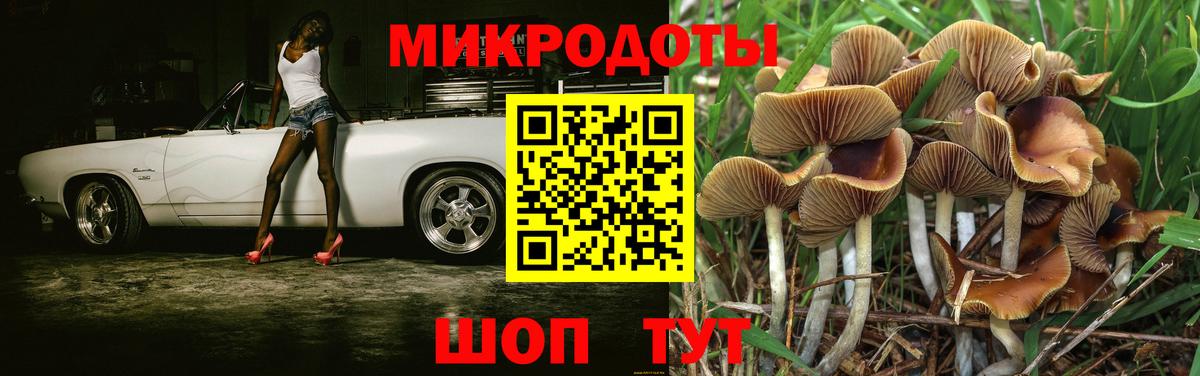 Галлюциногенные грибы Psilocybine cubensis Долгопрудный